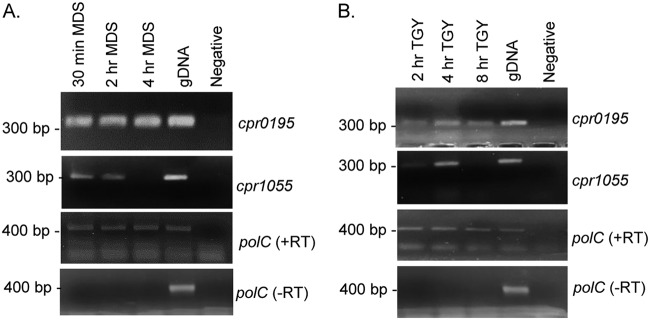 FIG 4