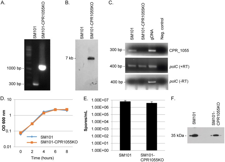 FIG 3