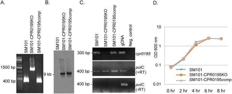 FIG 1