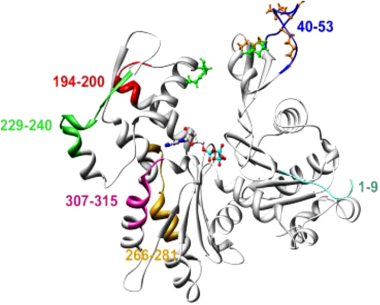 FIGURE 3