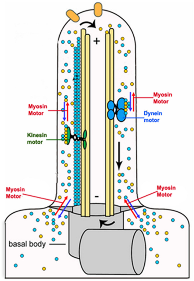 FIGURE 10