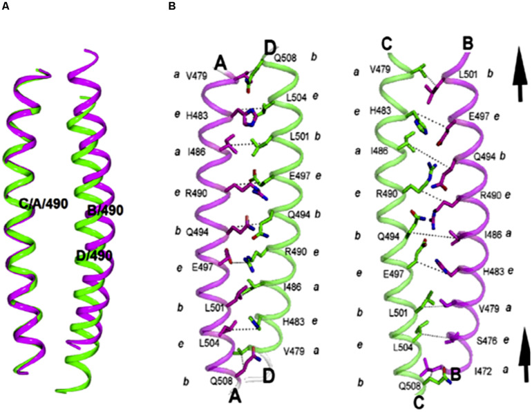 FIGURE 11