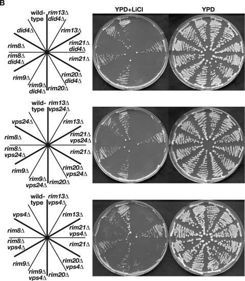 FIG.3.