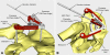 Fig. 1A−B