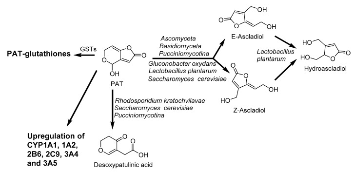 Figure 12