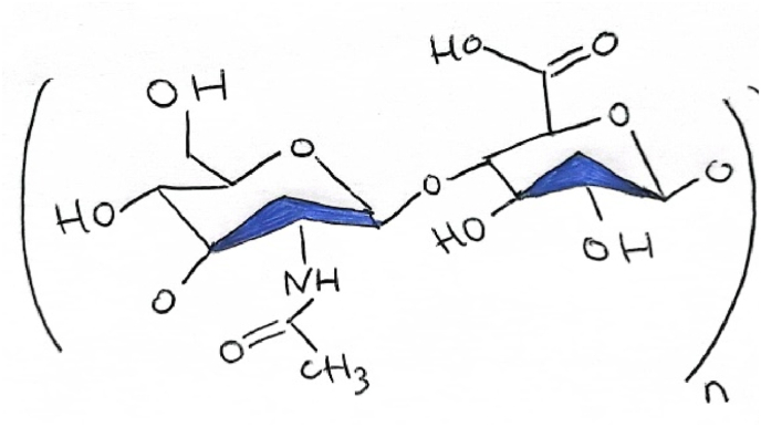 Figure 1