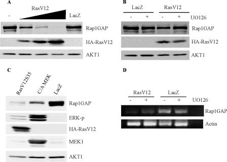 FIG. 8.