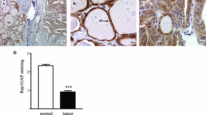 FIG. 9.