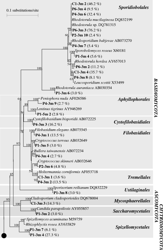 FIG. 5.