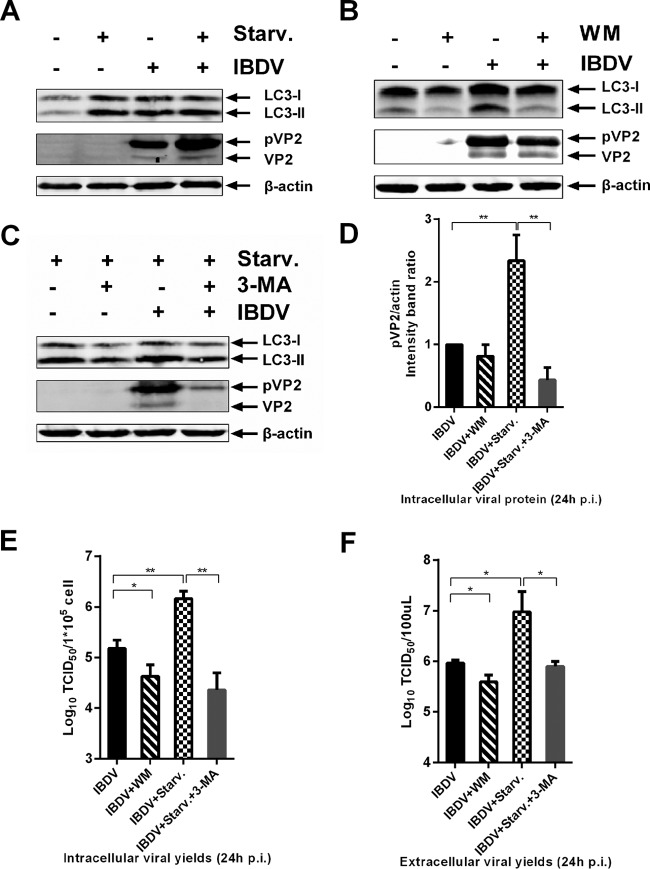 FIG 2