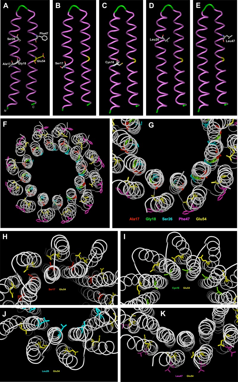 FIG 3