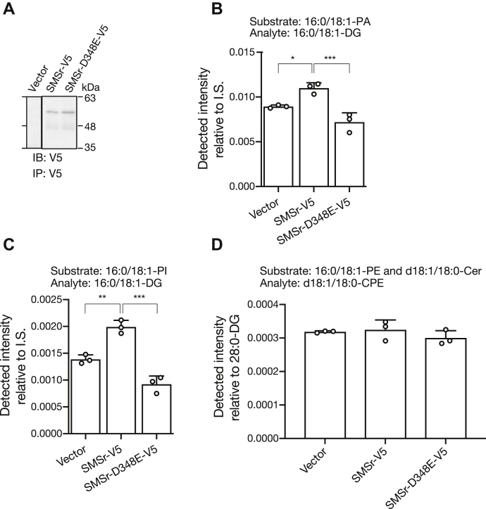 Figure 6