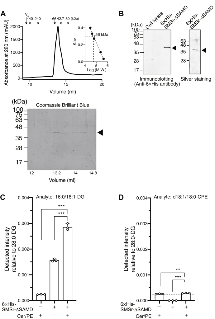 Figure 2