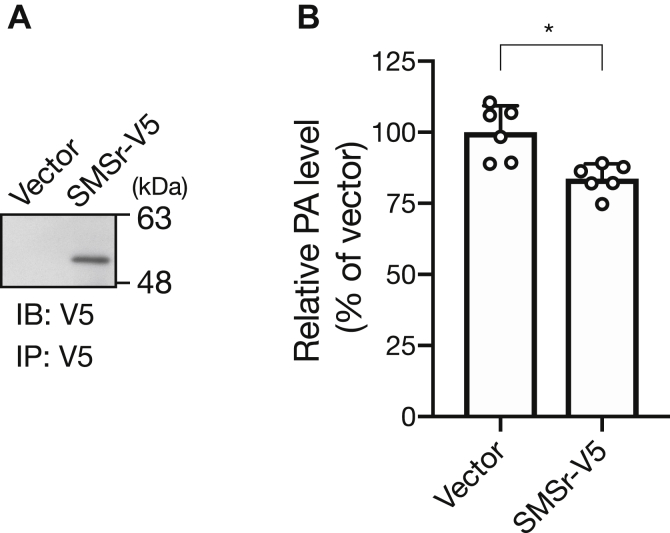 Figure 7