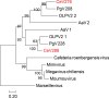 FIG 3