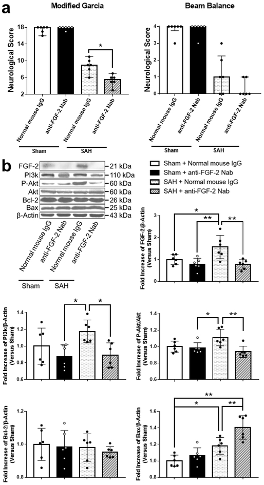 Fig. 11