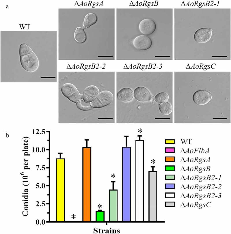 Figure 3.