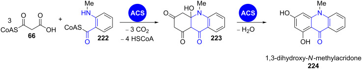 Scheme 31