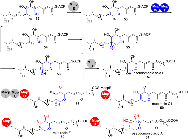 Scheme 9