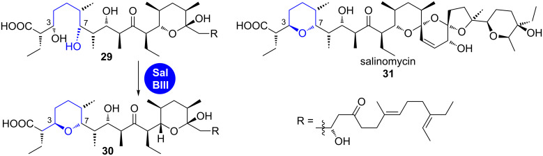 Scheme 5