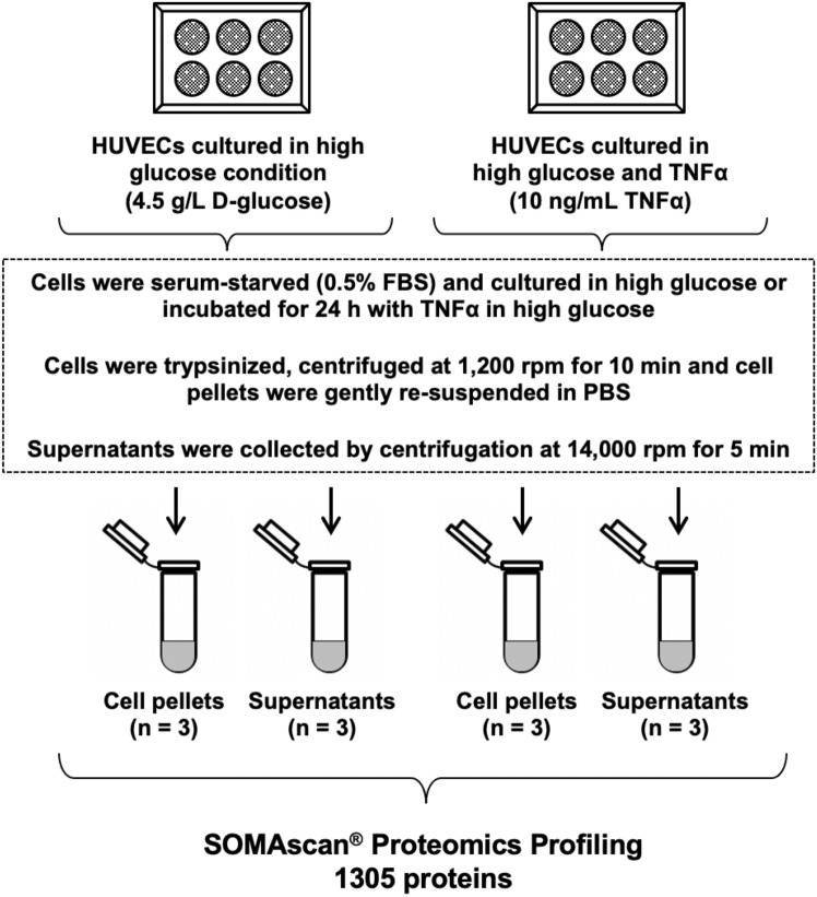 Figure﻿ 1