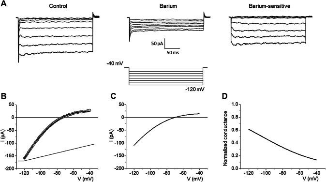 Fig. 4