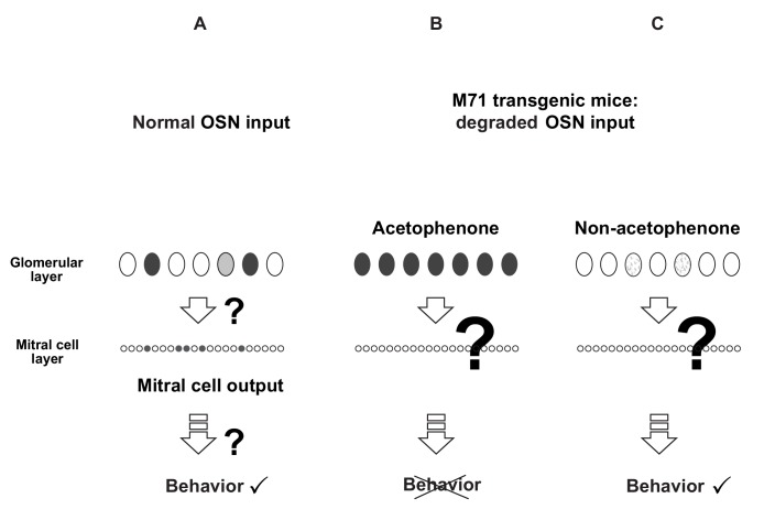 Figure 1—figure supplement 1.