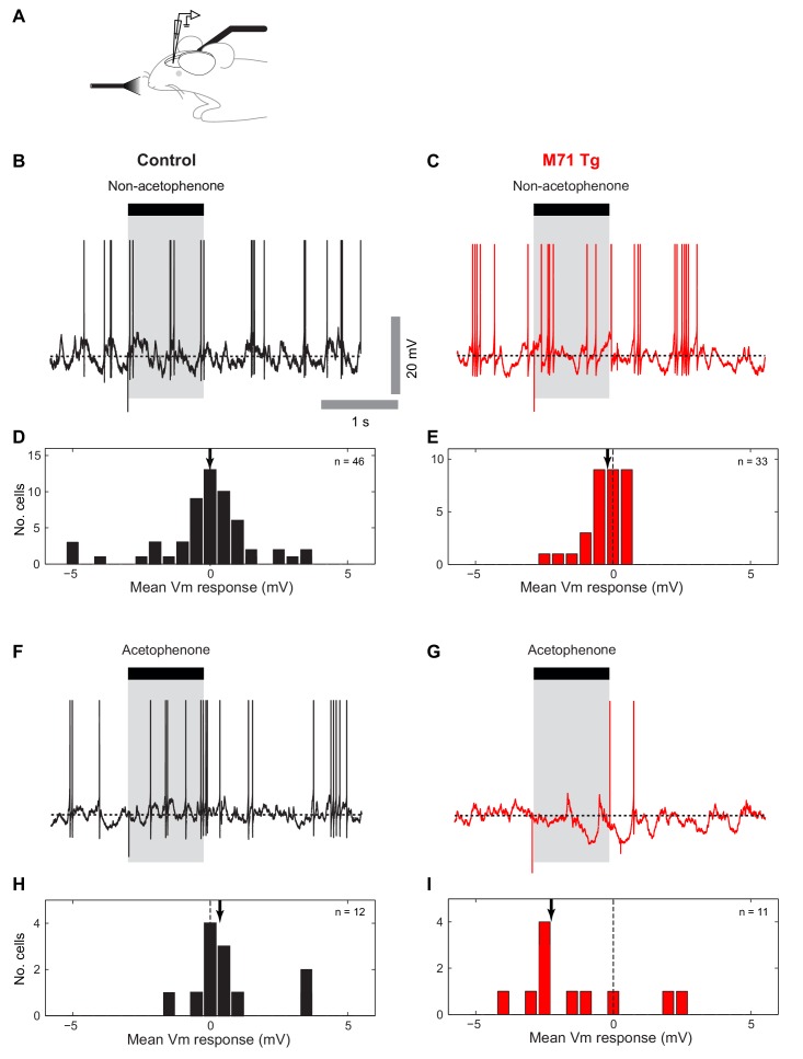 Figure 4—figure supplement 1.