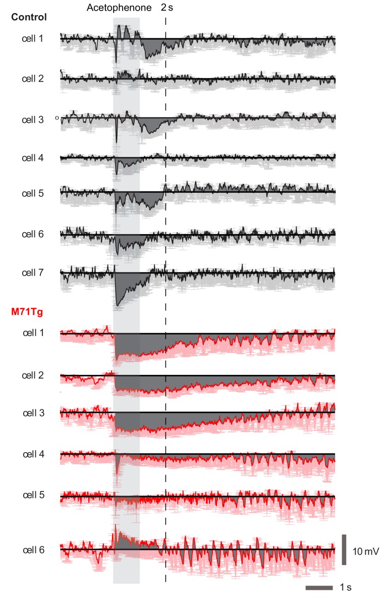 Figure 5—figure supplement 1.