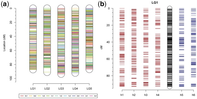 Fig. 3.