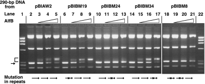 FIG. 7.