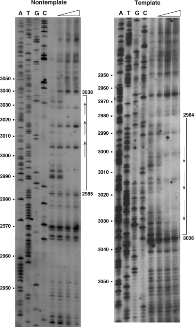 FIG. 6.