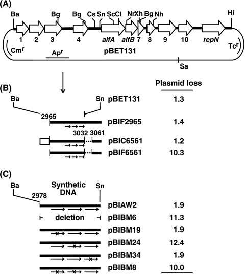 FIG. 1.