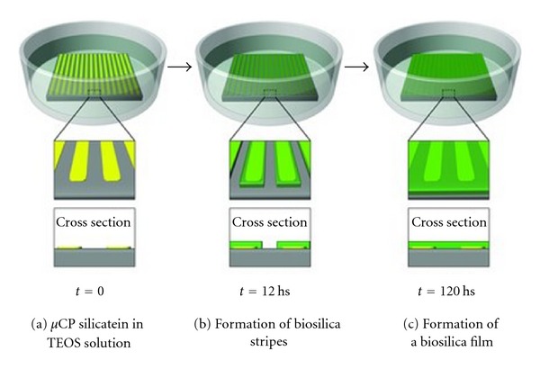 Figure 12