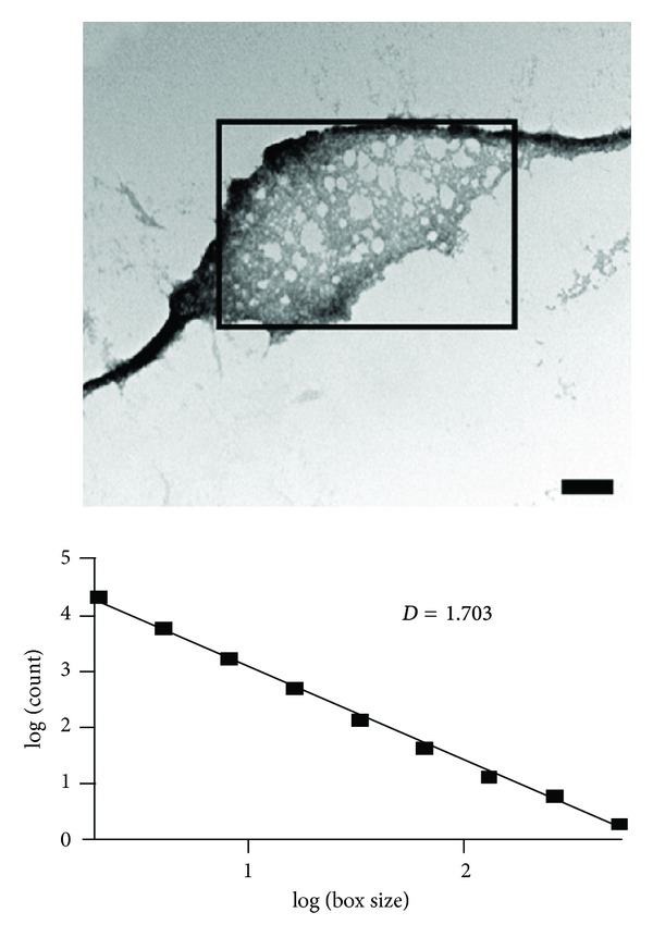 Figure 8