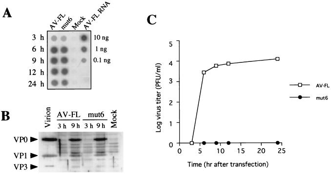 FIG. 7