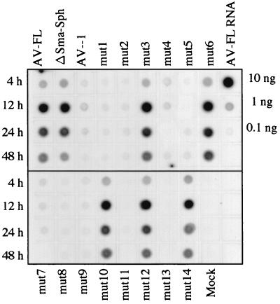 FIG. 6