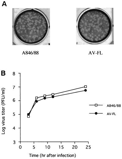 FIG. 3