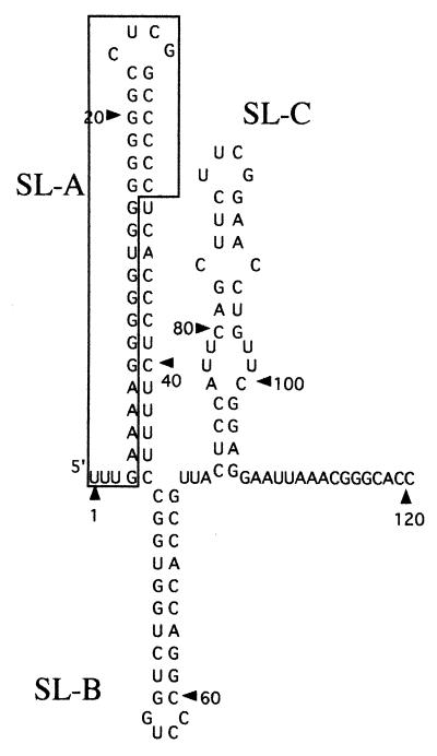 FIG. 4