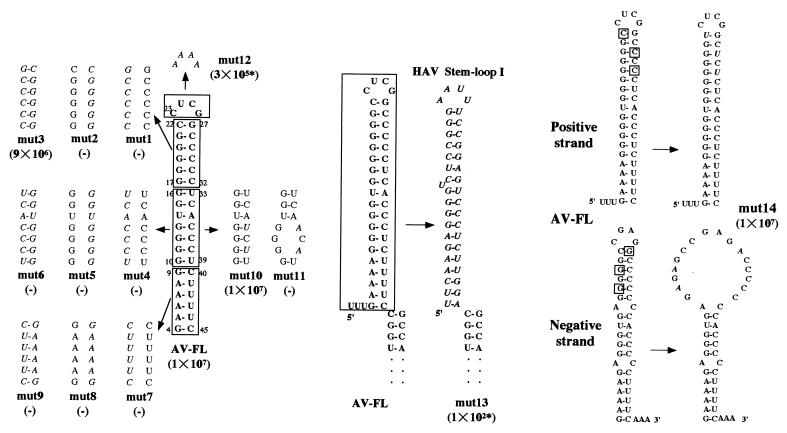 FIG. 5