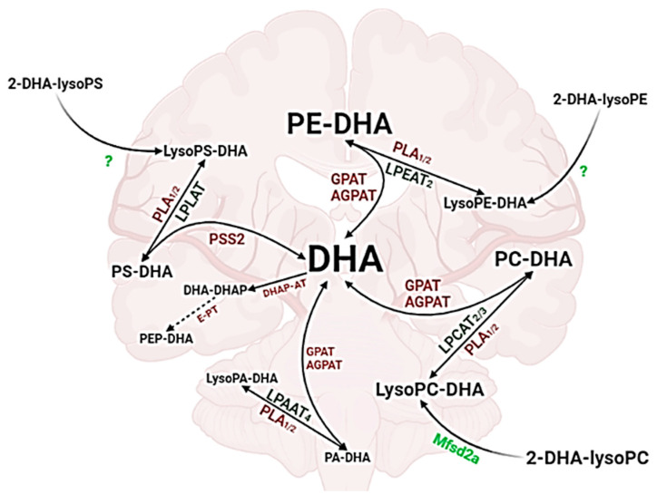 Figure 7