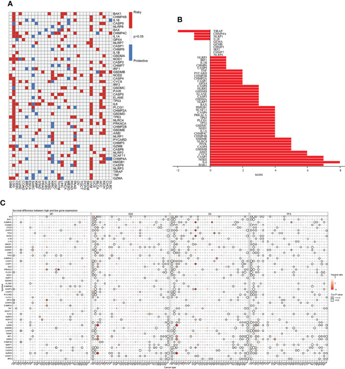 Figure 3