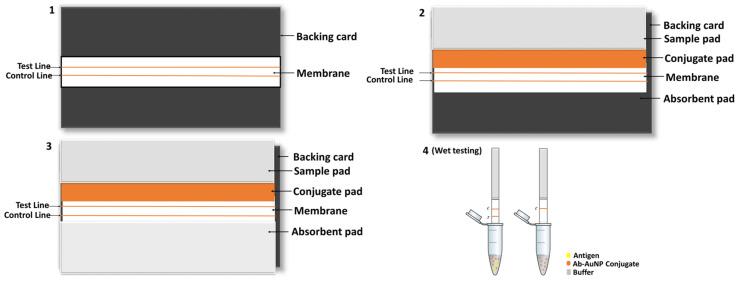 Scheme 2