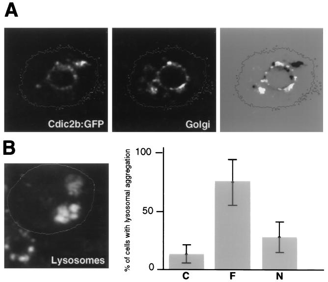 FIG. 9