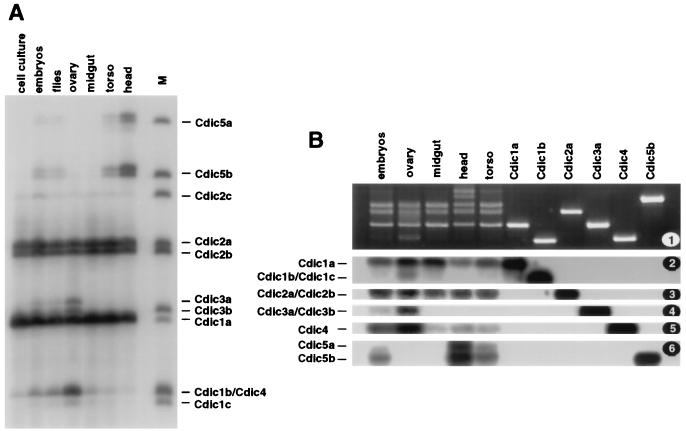 FIG. 7