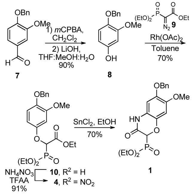 Scheme 2