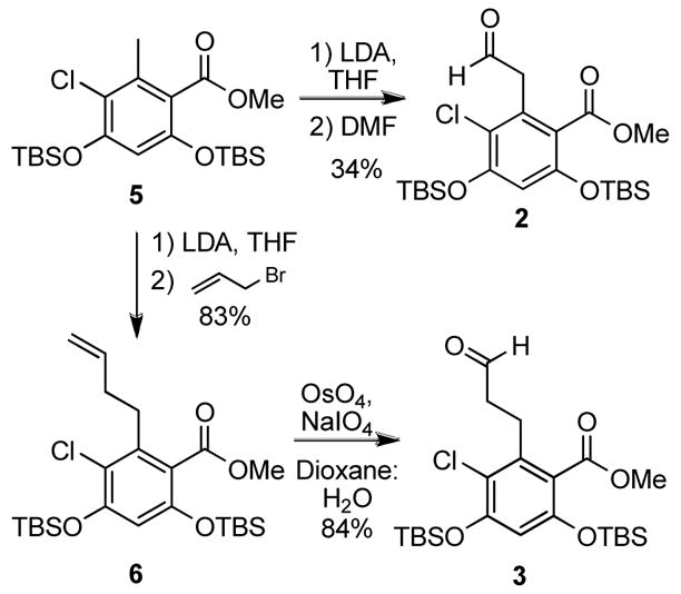 Scheme 3