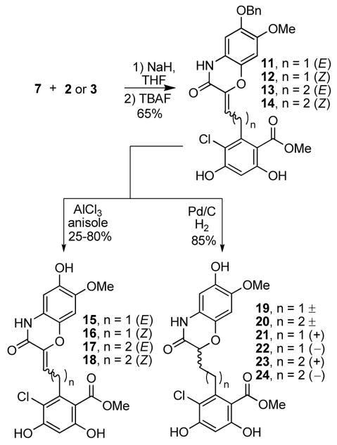 Scheme 4