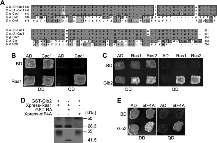 FIGURE 5.