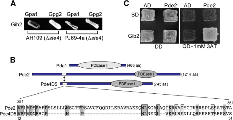 FIGURE 3.